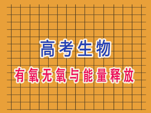 高三生物有氧无氧与能量释放,重庆高考文化课集训班老师经验